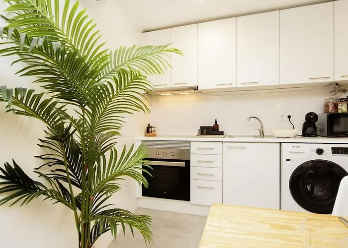 Casa Do Fado Alfama Lisboa